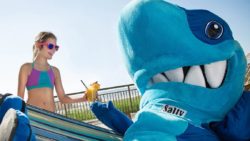 Salty the Shark mascot in a hammock
