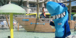 Salty the Shark at the Shipwreck Pool
