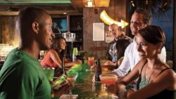 Loco Gecko Myrtle Beach bar and dining